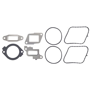 GM CP3/EGR Valve Installation Kit, AP0129