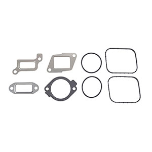 GM Duramax High Pressure Fuel Pump, EGR Valve Installation Kit, AP0128