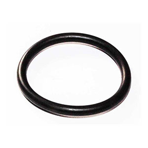 Perkins Seal, CH10816