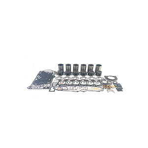 Shibaura N844 Engine Inframe Overhaul Rebuild Kit