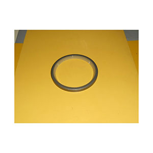 Caterpillar Lip Seal, 1661495