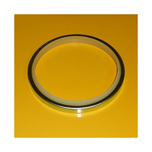 Caterpillar Lip Seal, 1793046