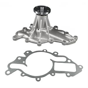 GM Water Pump, 10089659
