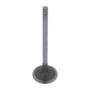 International Intake Valve, 1823453C1