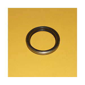 Caterpillar Seal, 1J1902