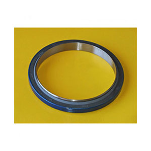 Caterpillar Rear Crankshaft Seal, 2223910