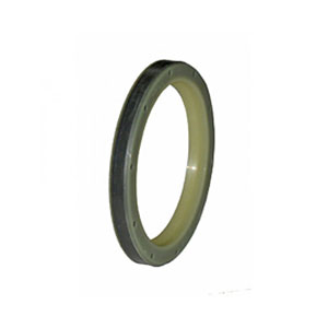Caterpillar Seal, 5P4061