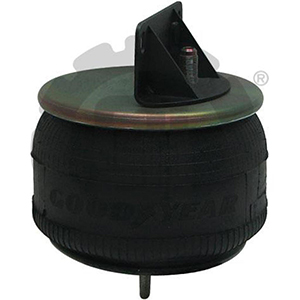 Mack Air Spring, 1R11-219