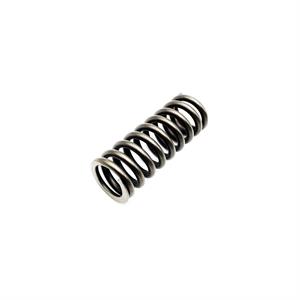 Deutz Valve Spring, 4902197