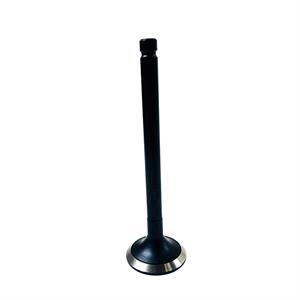 Yanmar Exhaust Valve, 119515-11110
