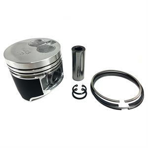 Yanmar Piston & Rings, Std, 119717-22080