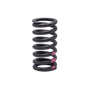 Volvo D16 Valve Spring, 21326667