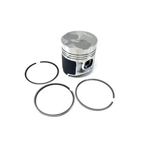Caterpillar Piston & Rings, .020, 2973080B