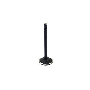Kubota Intake Valve, 1C020-13110