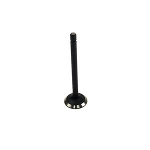 Kubota Exhaust Valve, 1C020-13120