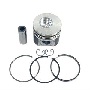 Kubota Piston & Rings, Standard, 1G770-21772