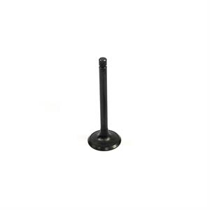 Kubota Intake Valve, 1G852-13112
