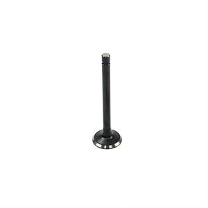 Kubota Exhaust Valve, 1G852-13122