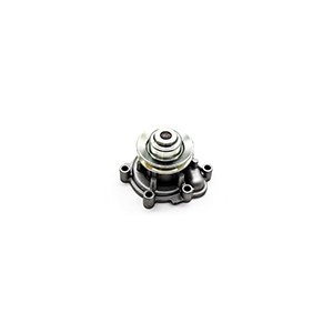 Deutz Water Pump, 4300281