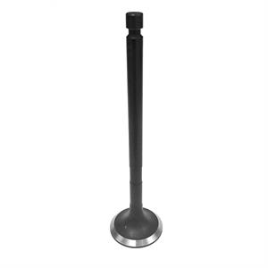 Yanmar Exhaust Valve, 123907-11110