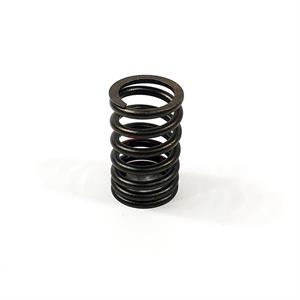 Yanmar Valve Spring, 129508-11130