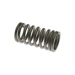 Case Valve Spring, A21692