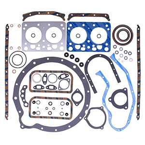 Case Overhaul Gasket Set, RP321196